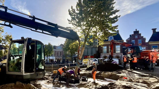 From about 60 to 120 trees: Nieuwestad in Leeuwarden becomes twice as green