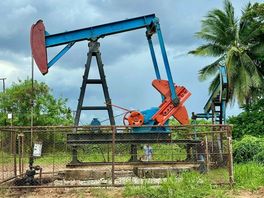 Arjan uit Schoonebeek reist wereld over om jaknikkers terug te halen: 'Als kind al gefascineerd'