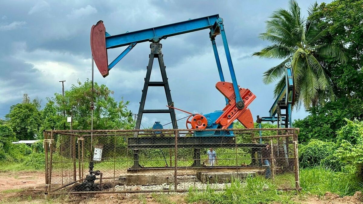 Arjan uit Schoonebeek reist wereld over om jaknikkers terug te halen: 'Als kind al gefascineerd'
