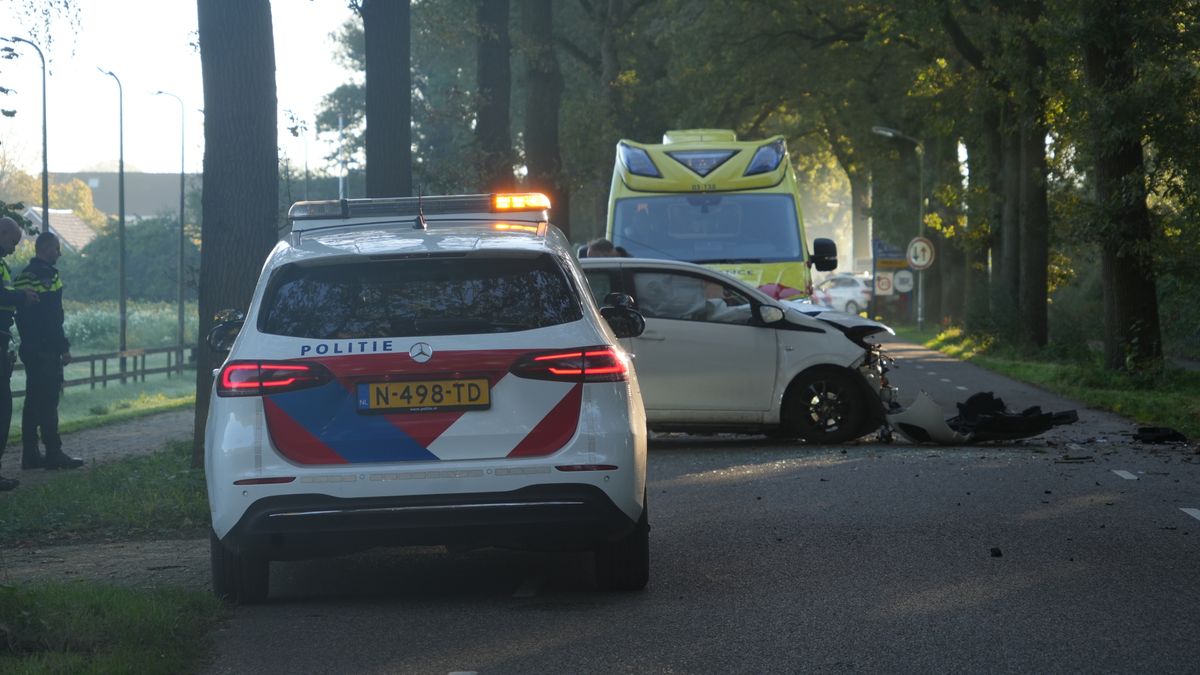Automobilist raakt gewond bij botsing tegen boom