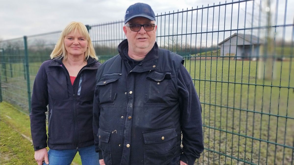 Dit hertenkamp in Groede verandert straks noodgedwongen in een schapen- of lamaboerderij