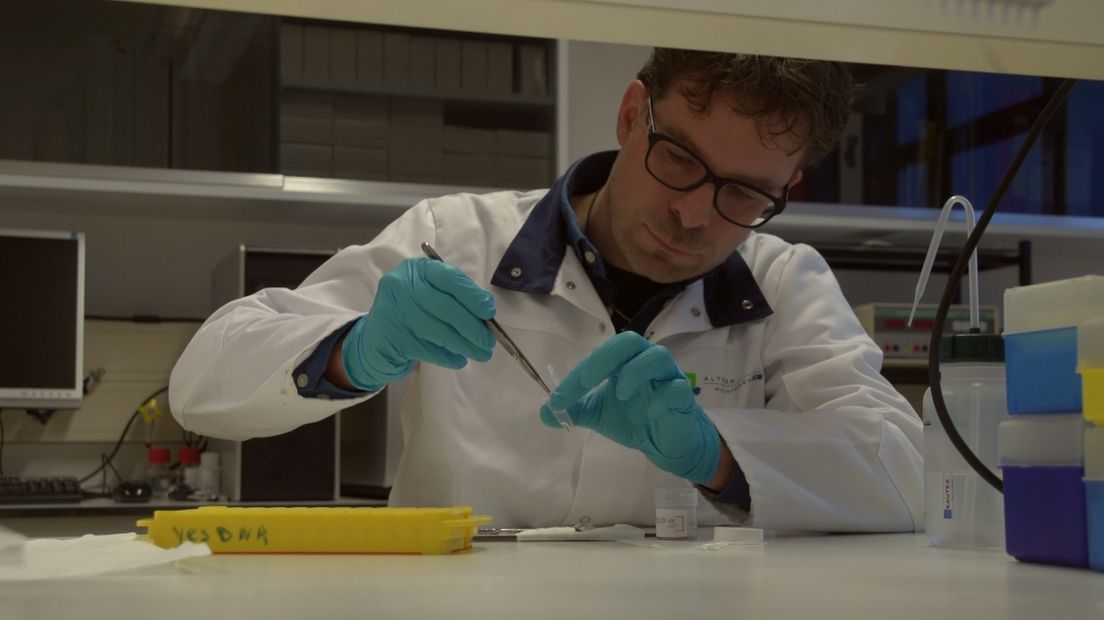 Wetenschappers van de Wageningen Universiteit hebben van een groot deel van het wild in Nederland het DNA in kaart gebracht. Dat deden ze door in totaal ruim 1500 stukken vlees te onderzoeken. Duizend stukken vlees waren afkomstig van wilde zwijnen en zo'n 400 stukken vlees van edelherten.