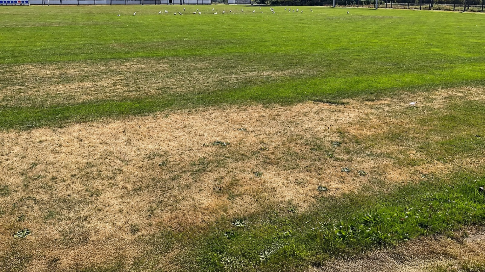 Droge plekken op een Schiedams sportveld