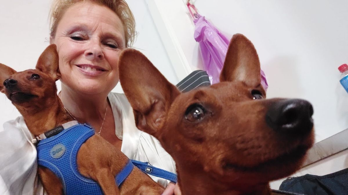 In Hoofdplaat een uur geen vuurwerk op oudjaar: 'Gun onze dieren een uurtje rust'