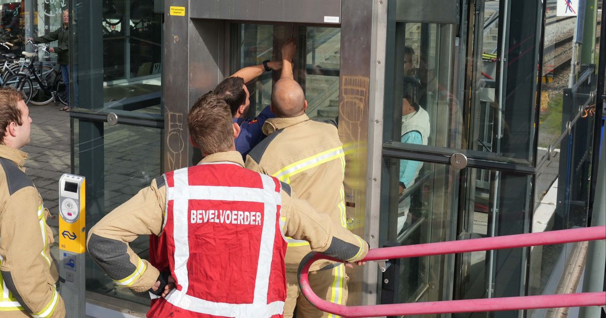 Almost a Thousand Trapped in Elevator, Share Meals