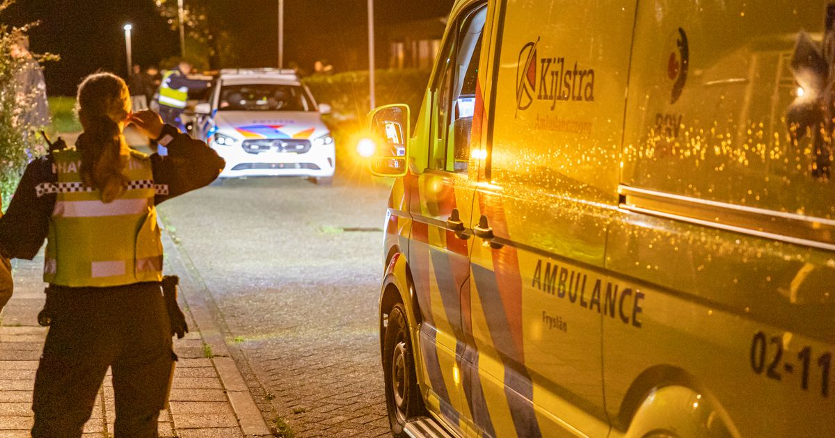 Persoon gewond na steekincident Ternaard, twee erdachten aangehouden