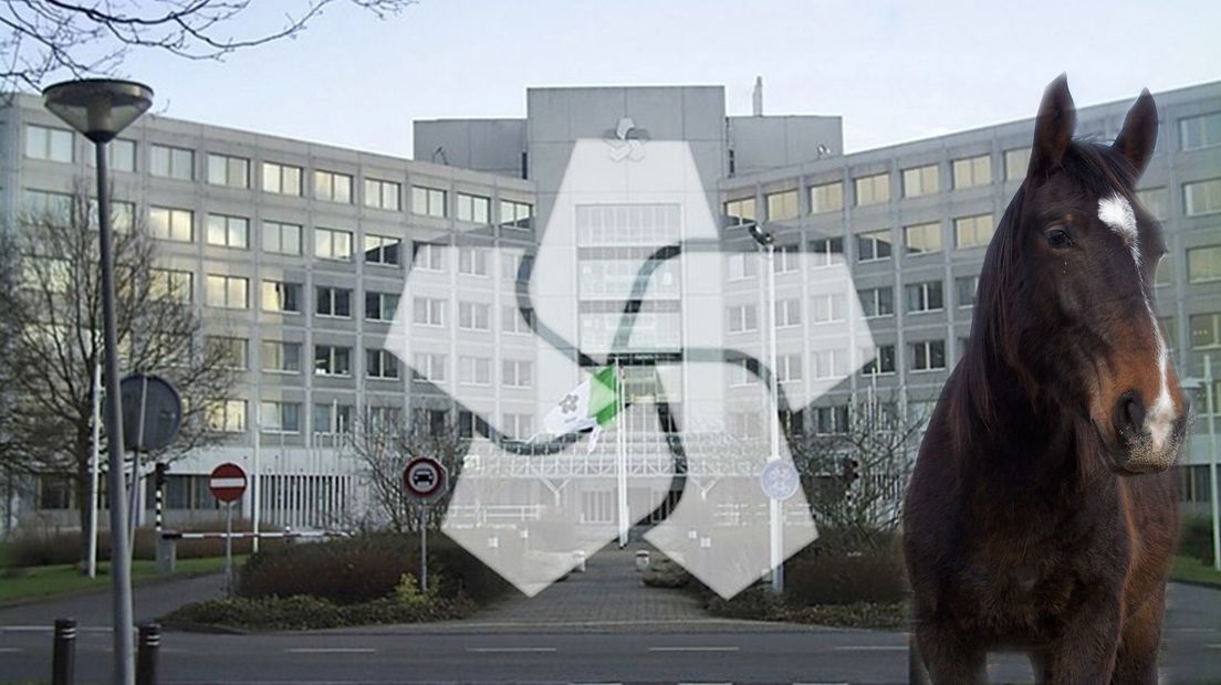 Foto is ter illustratie