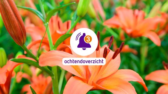 Verbod sierteelt Lochem • verblindende fietsers