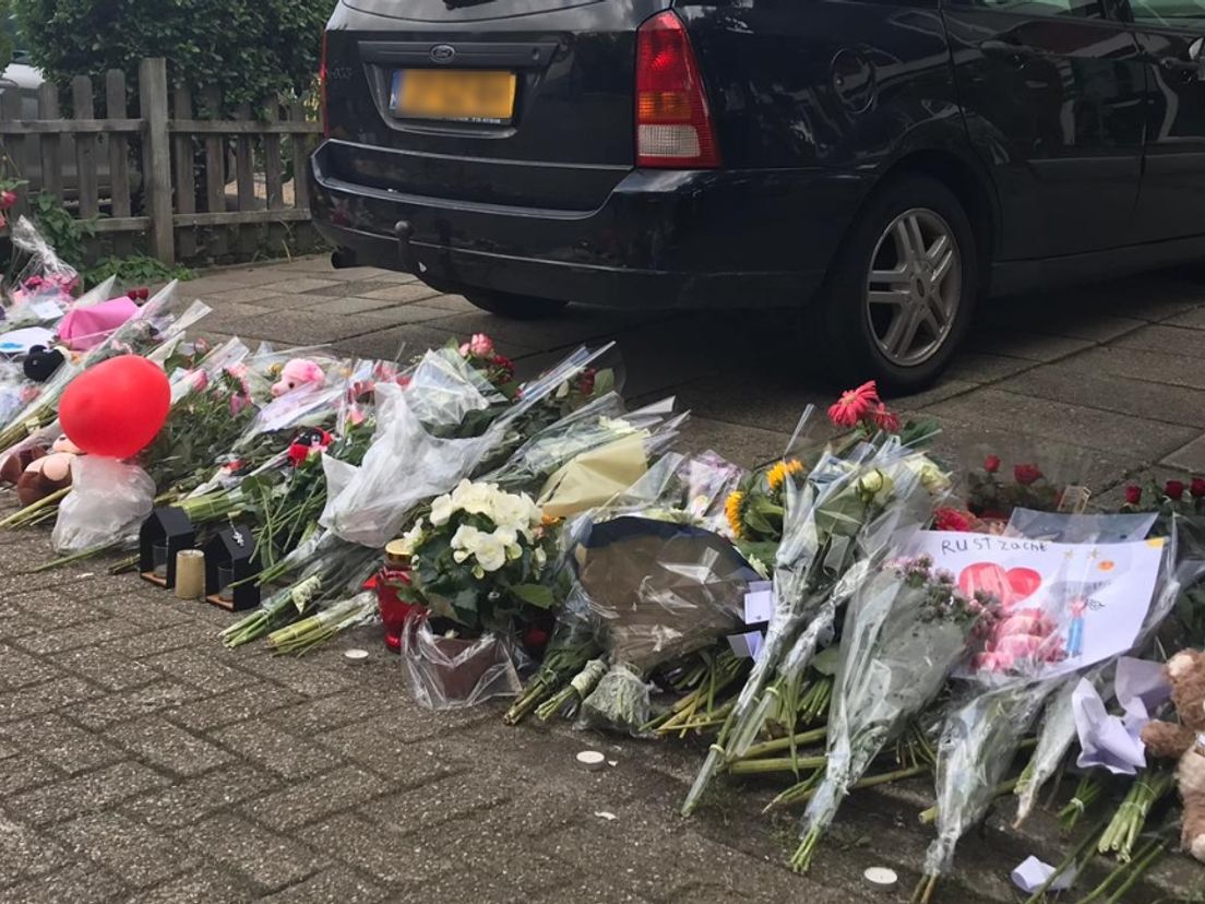 Bloemen bij het huis aan de Heimerstein, in de Dordtse wijk Sterrenburg