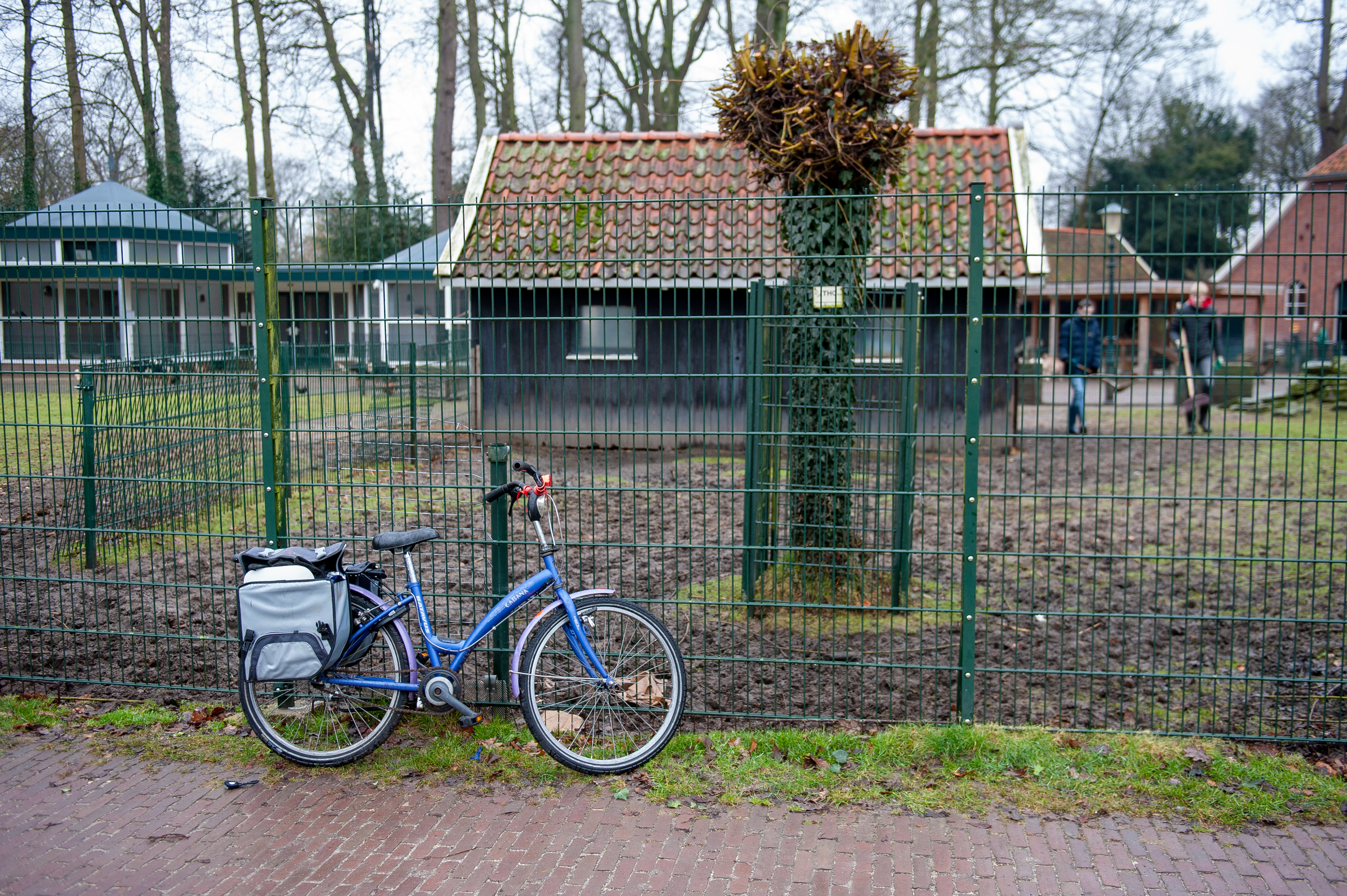De fiets waarmee de vermoedelijke koeienverkrachter naar de kinderboerderij was gekomen, stond nog enige tijd tegen het hek.
