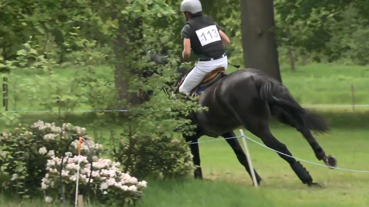 Landgoed Maarsbergen walhalla van de paardensport: 