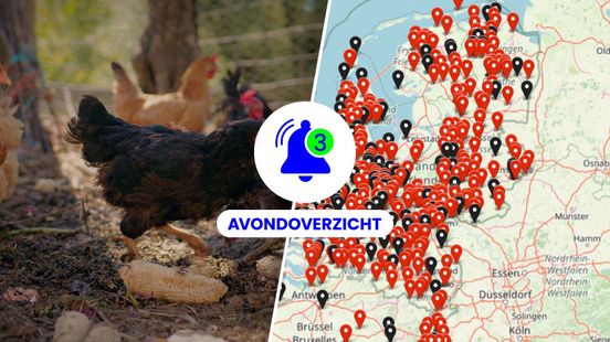 PFAS in hobby-eieren, drugslabrechtszaak en stadsderby afgeblazen: dit was maandag 16 maart