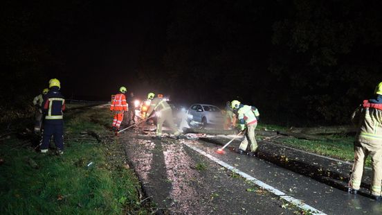 Boom op weg • afrit A28 geblokkeerd