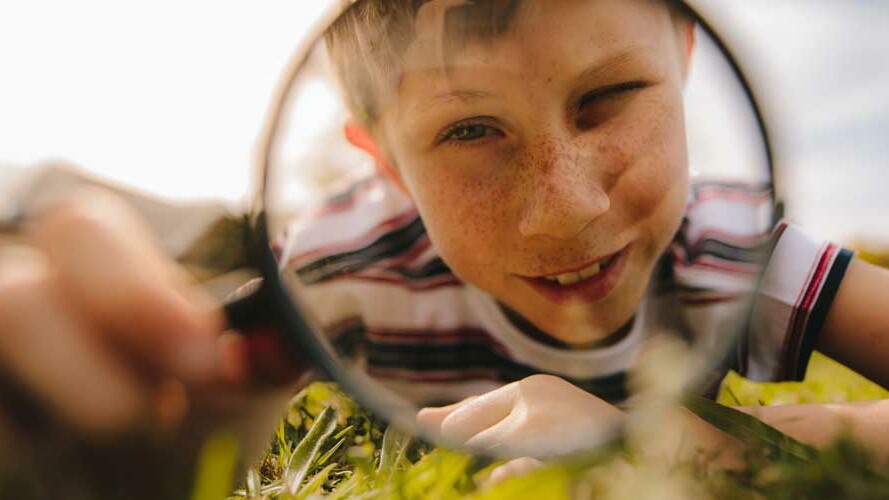 Staatsbosbeheer organiseert zaterdag een insectensafari bij Appelscha