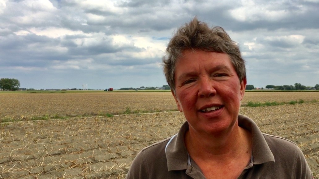 Tineke de Vries