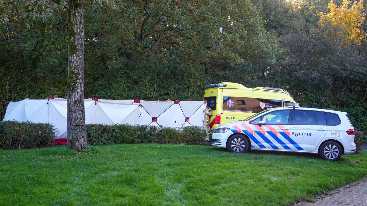 Train Traffic Halted Between Zwolle and Emmen after Collision on Track