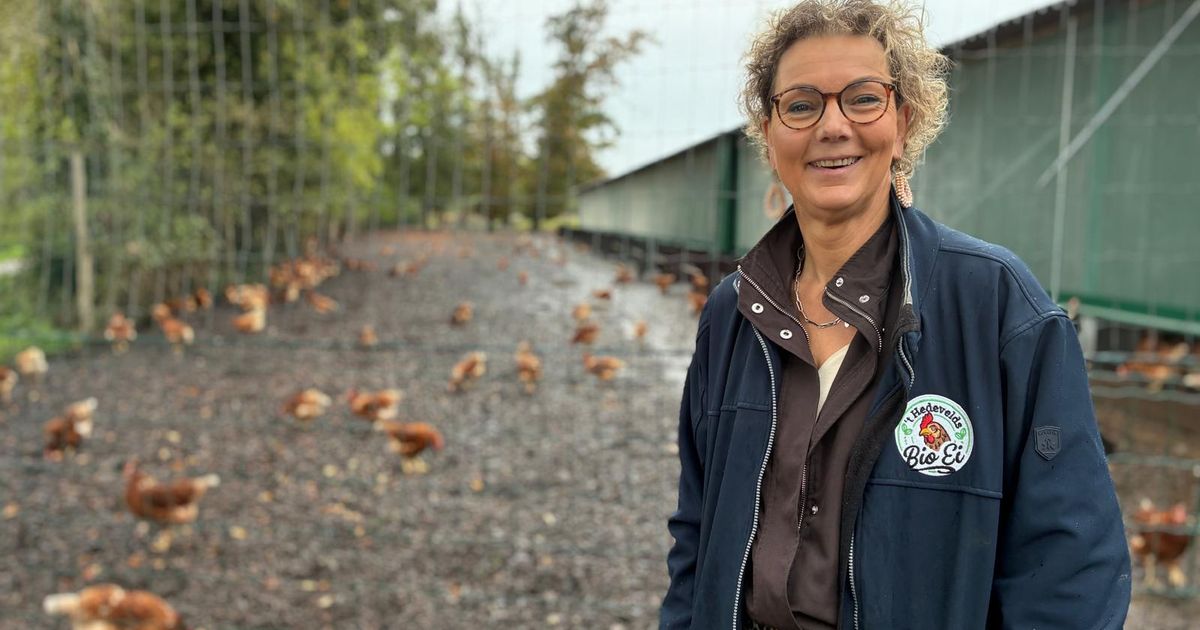 Lutjegast bird flu outbreak forces cull of 45,000 poultry birds