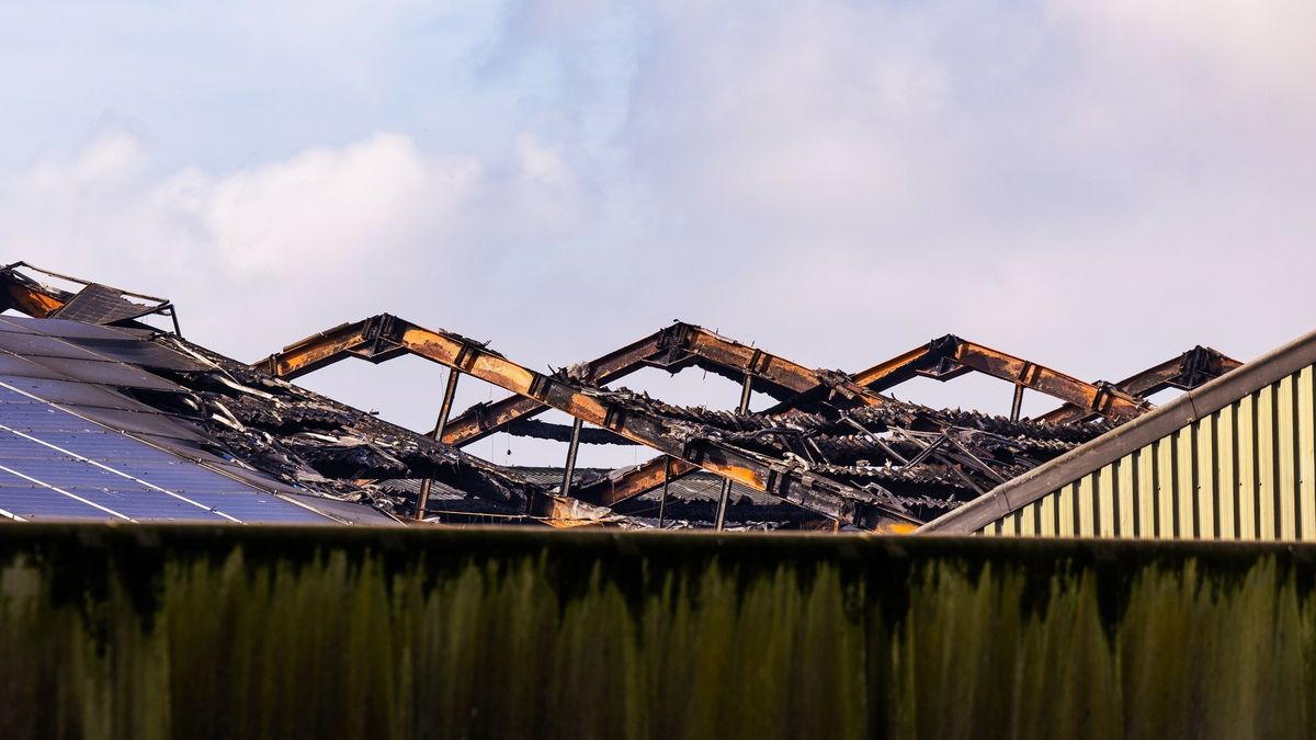 Ruim 40.000 dieren in Drenthe kwamen om bij stalbranden, brandweer begint campagne om dit te voorkom