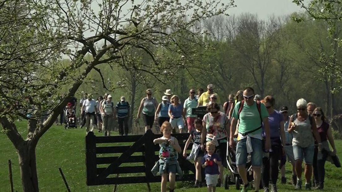 Wandelaars tijdens de bloesemtocht in 2018.