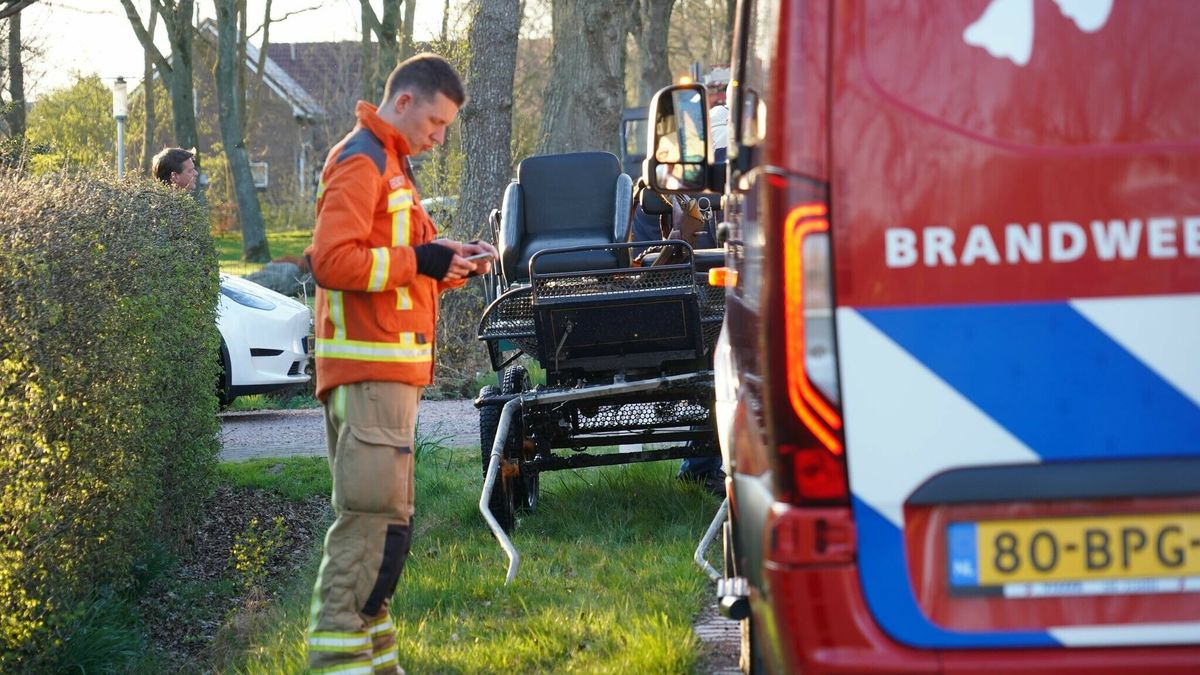 Paard verdronken in Beilervaart, vader en kind op menwagen gered