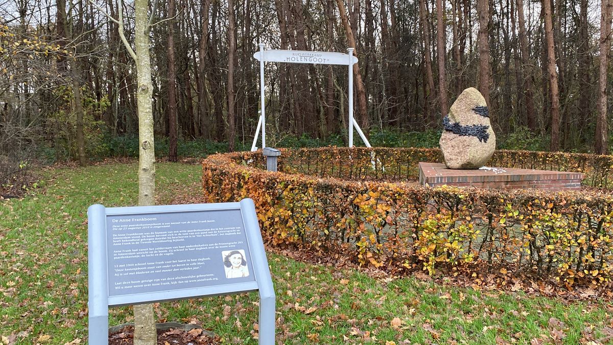 Nieuwe druk boek Kamp Molengoot: ‘’We moeten de geschiedenis doorgeven’’