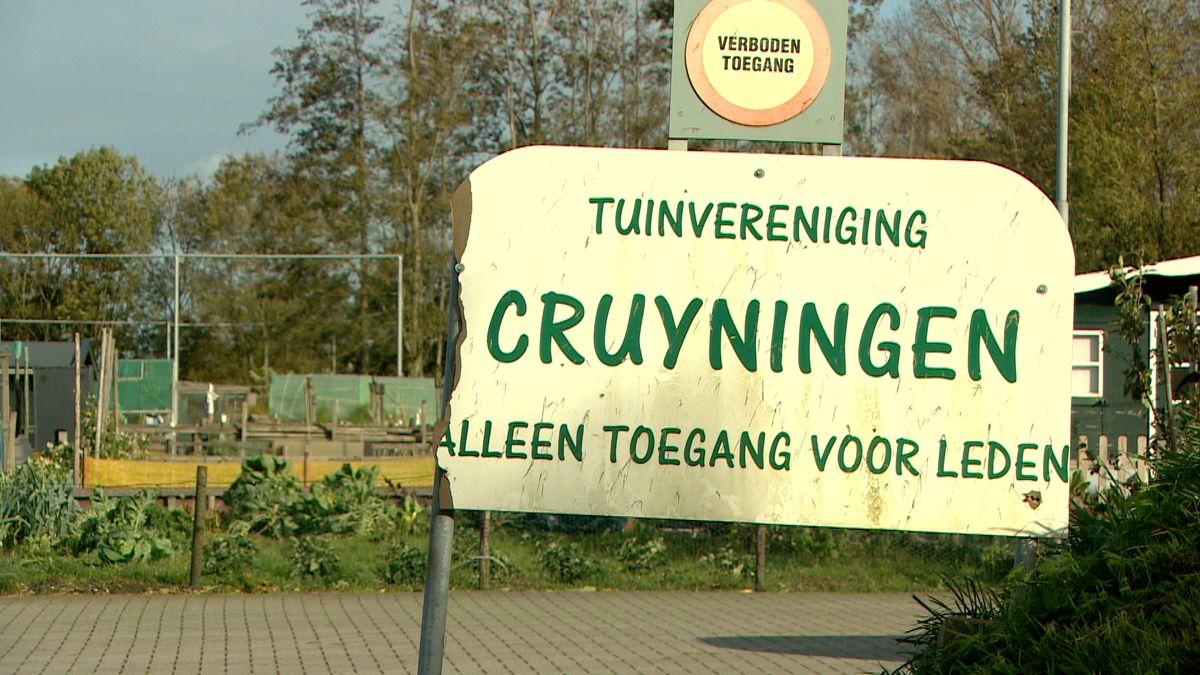 Advies om groenten niet te eten, vervuiling in moestuin Kruiningen 'zeer ernstig'