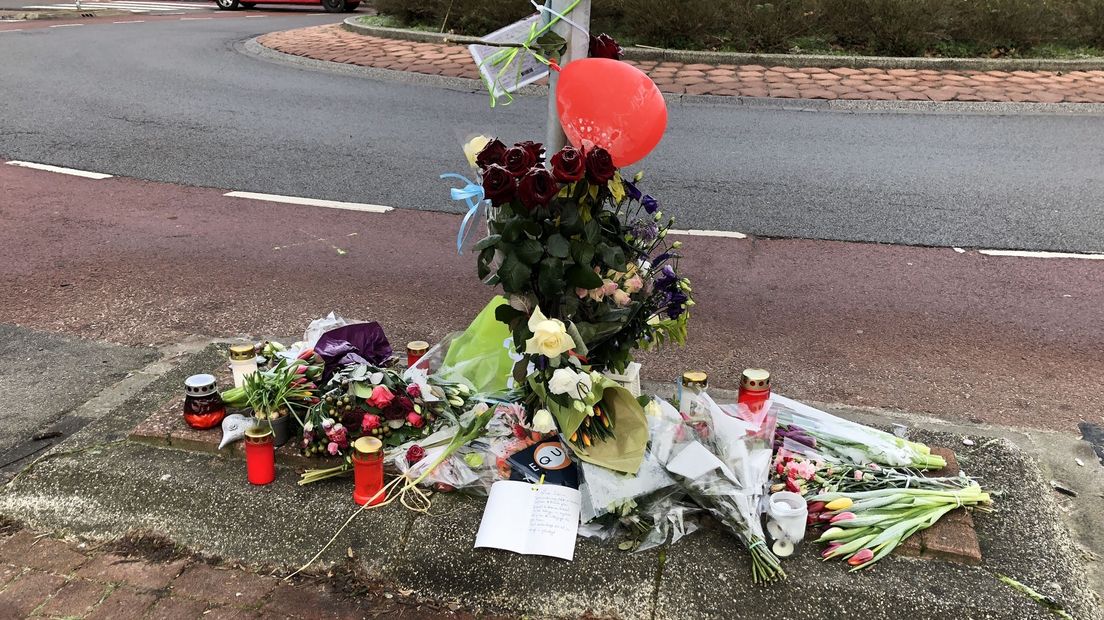 Bloemen op de rotonde bij de Vondellaan