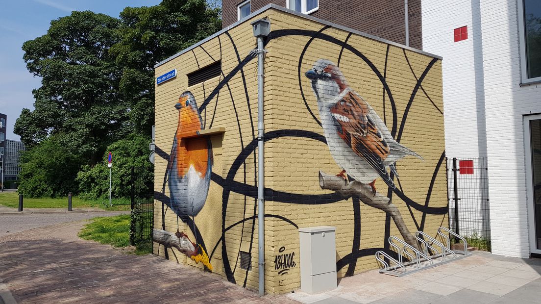 Een mus en roodborstje door 13HOOG in het Soesterkwartier.