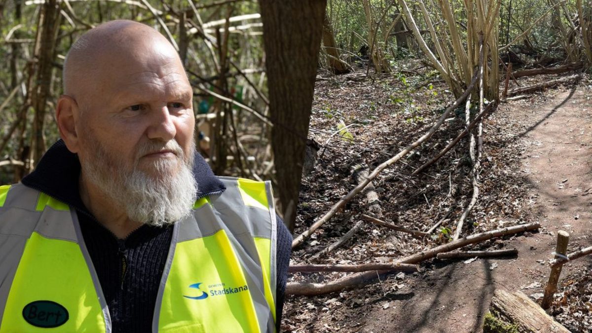 Sprookjespad Stadskanaal wéér vernield: 'Voor mij is het nu klaar'