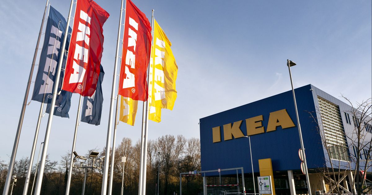 Het is vakantie en slecht weer. Voor veel mensen een reden om een bezoek te…