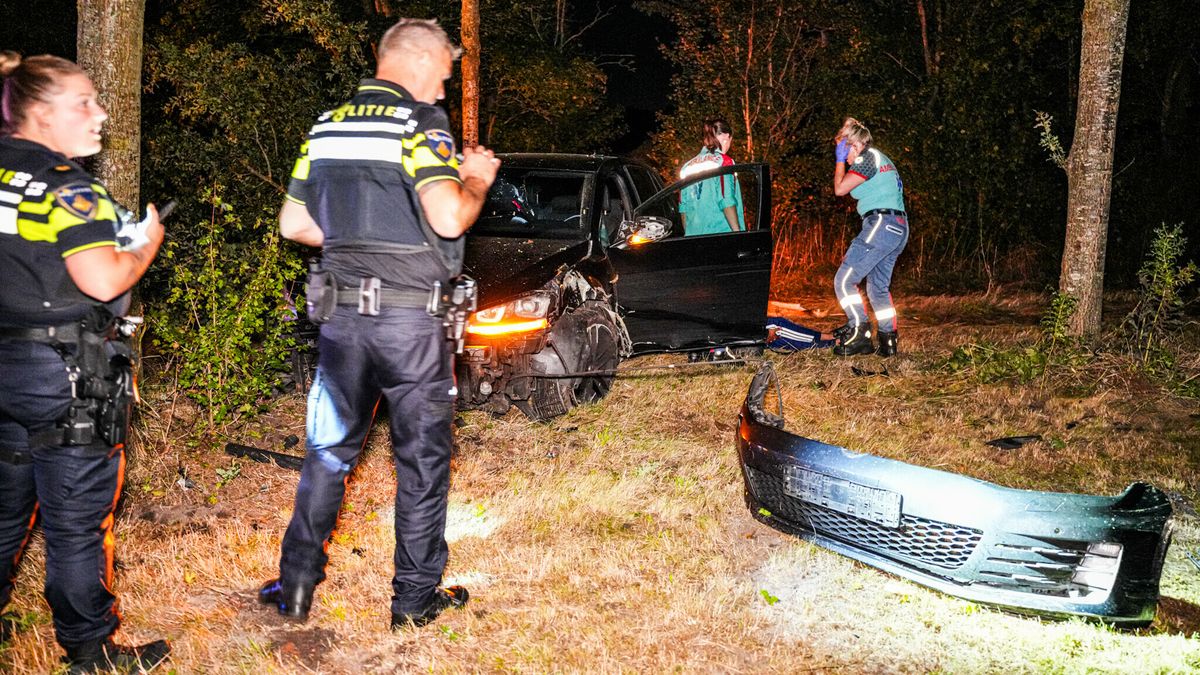 Auto rijdt boom doormidden in Nieuw-Amsterdam