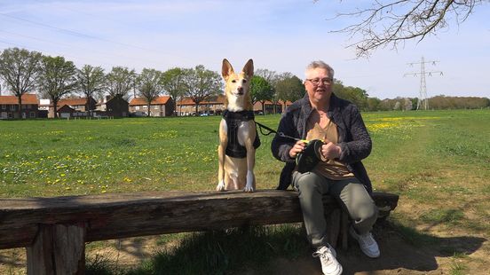 Aanpak mentale problemen Bianca moet blauwdruk worden voor Limburgse zorg Home