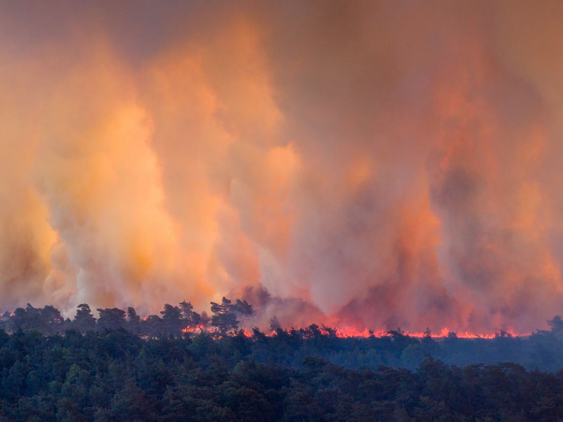 Drenthe stuurt twee brandweerwagens richting natuurbrand bij 't Harde: 'Meer kunnen we niet missen'