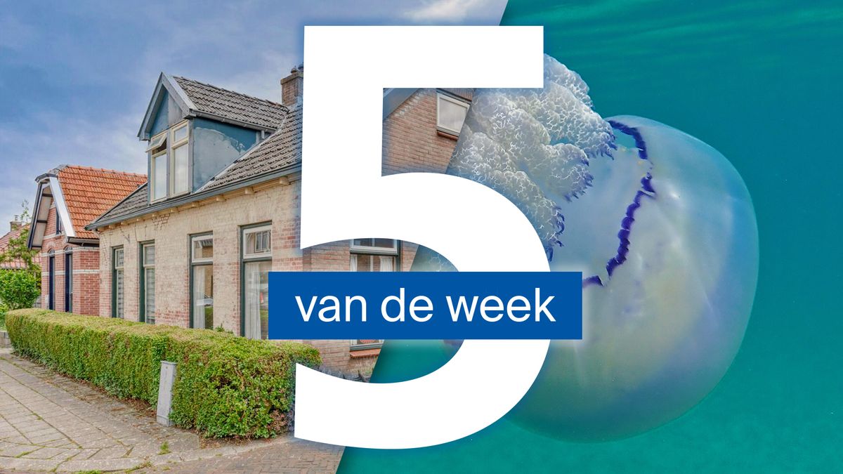Hoe komt een strand op Vlieland vol kwallen? En deze huizen kun je krijgen voor minder dan twee ton
