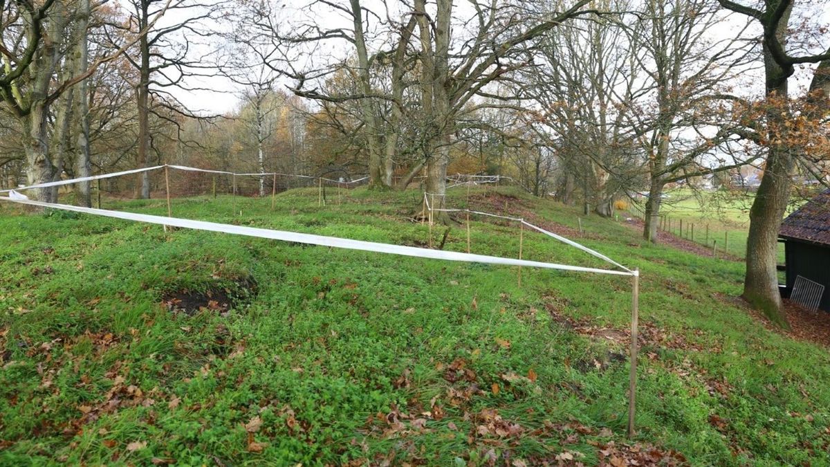 Burgemeester Hiemstra wil in Gasselte op zoek naar 53ste hunebed
