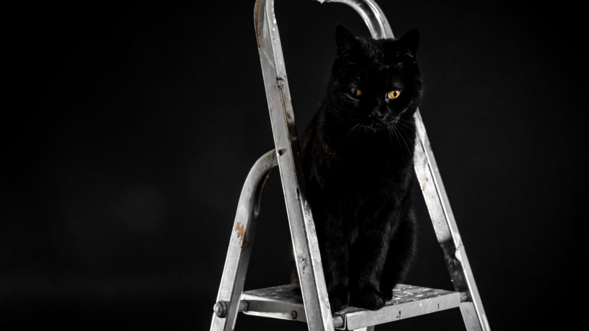 Lopend Vuur: Vrijdag de dertiende een pechdag? Natuurlijk niet!