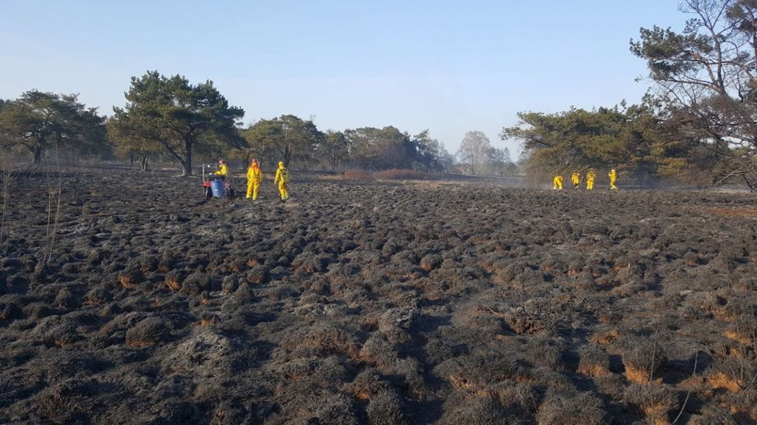 De brand heeft 25 hectare van het natuurgebied verwoest