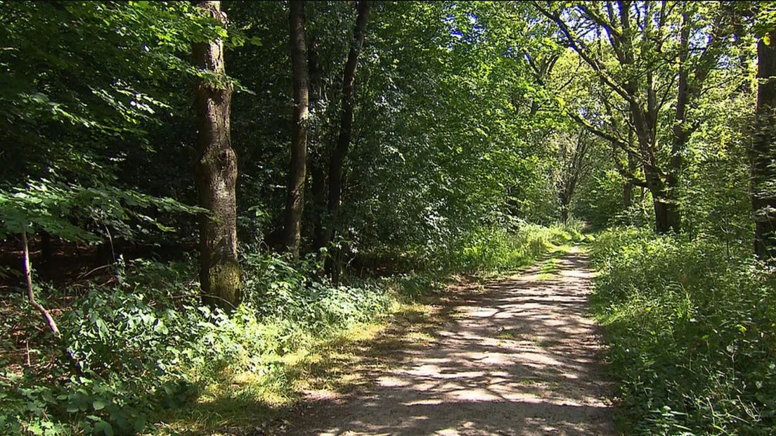 Langs dit pad in Schipborg werd de vrouw verkracht