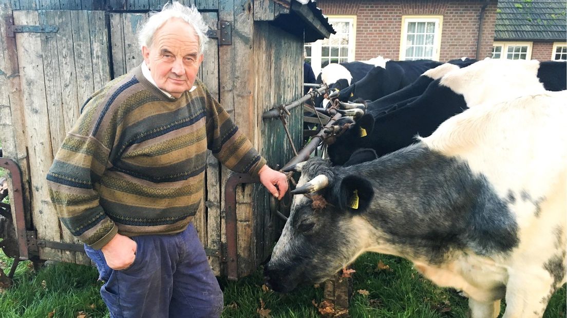 Boer Gerrit uit Usselo melkt zijn koeien nog altijd op de ouderwetse manier.