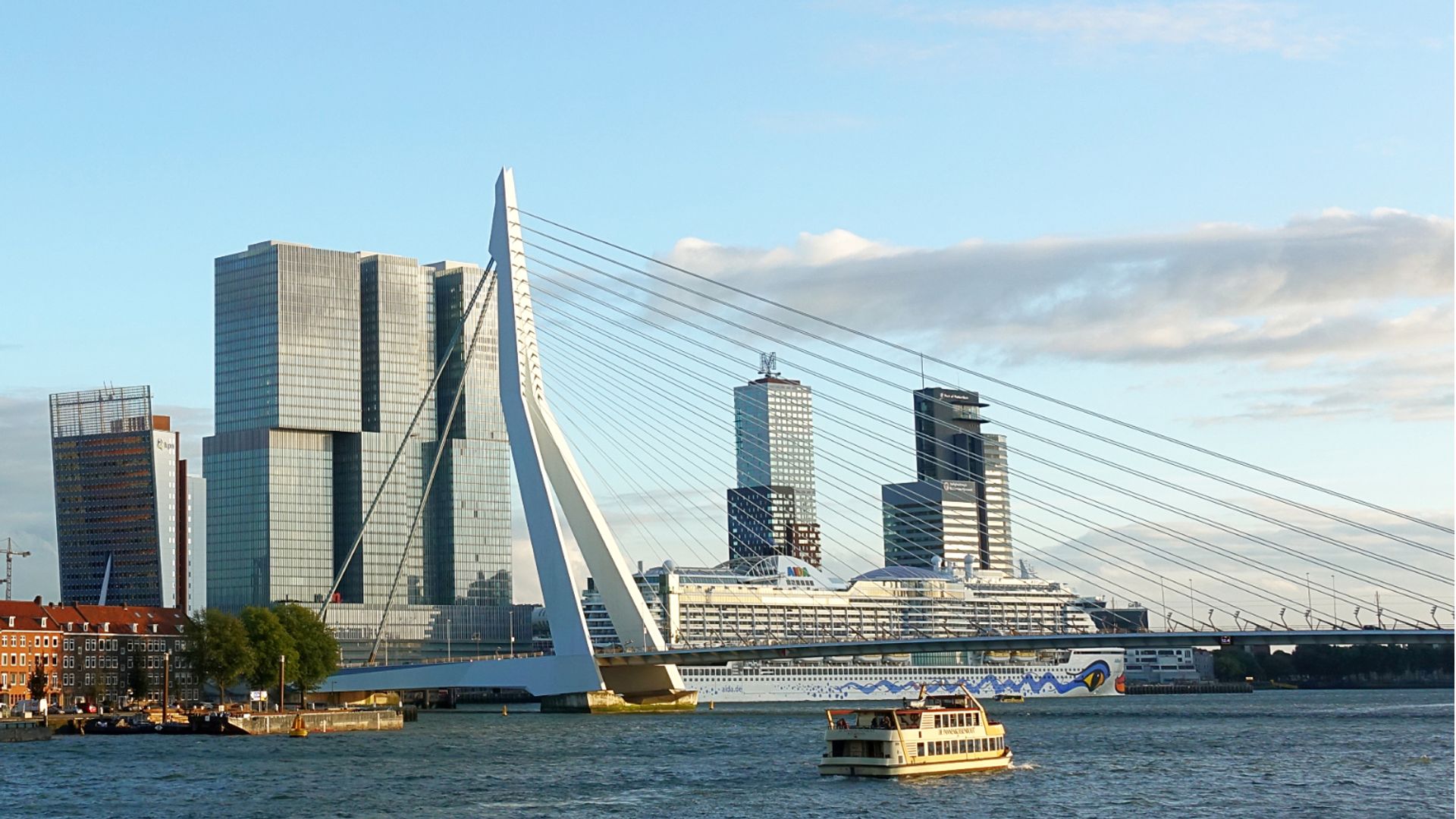 De Erasmusbrug in volle glorie