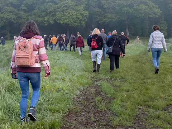 Hemelvaartsdag overwegend kil en regenachtig, maar daarna wordt het (ietsje) beter