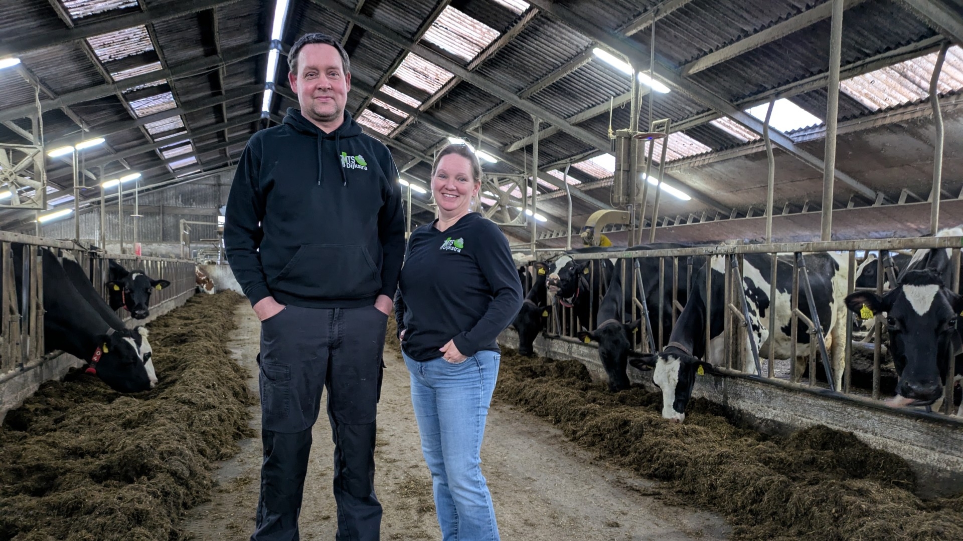 Melkveehouders in het nauw door mestoverschot: ‘Ik verwacht dat er boeren gaan stoppen’