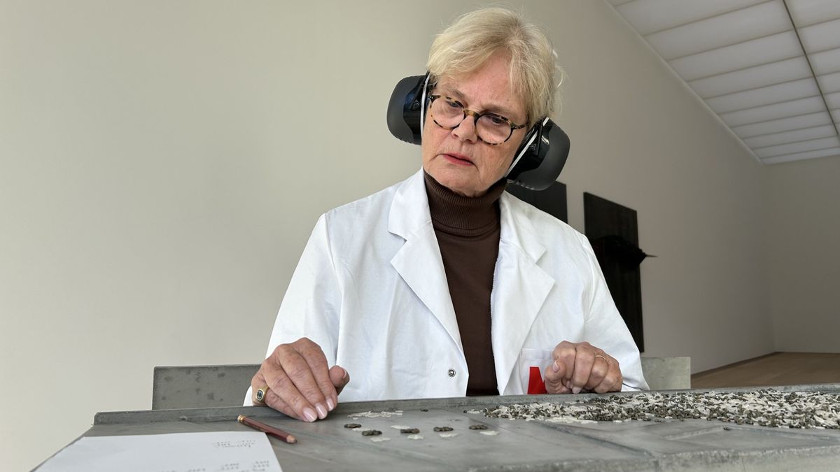 Rijst tellen, korrel voor korrel, waarom willen honderden mensen dit doen?