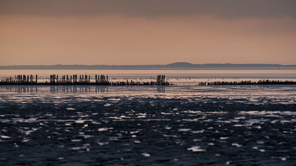 Raad van State niet akkoord met besluit Ternaard: NAM krijgt 250 euro per dag compensatie