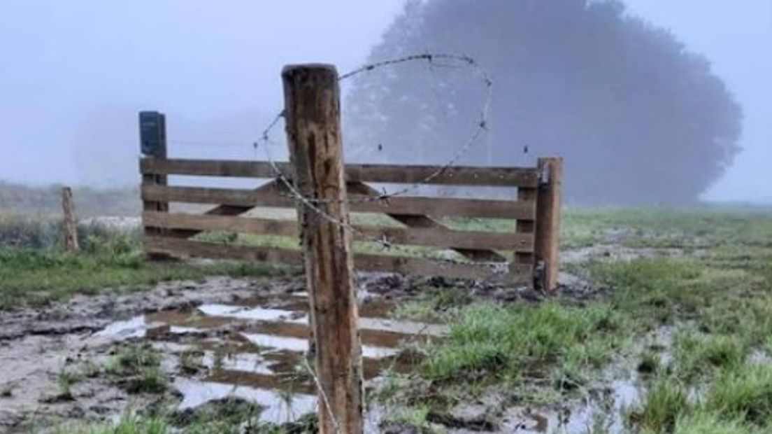 Vernieling en bandensporen bij het Oude Diep (Rechten: Het Drentse Landschap)