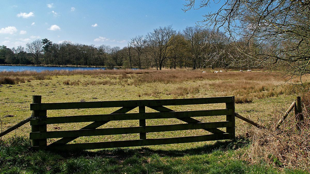 An de kuier: wandelen door het beekdal van het Deurzerdiep