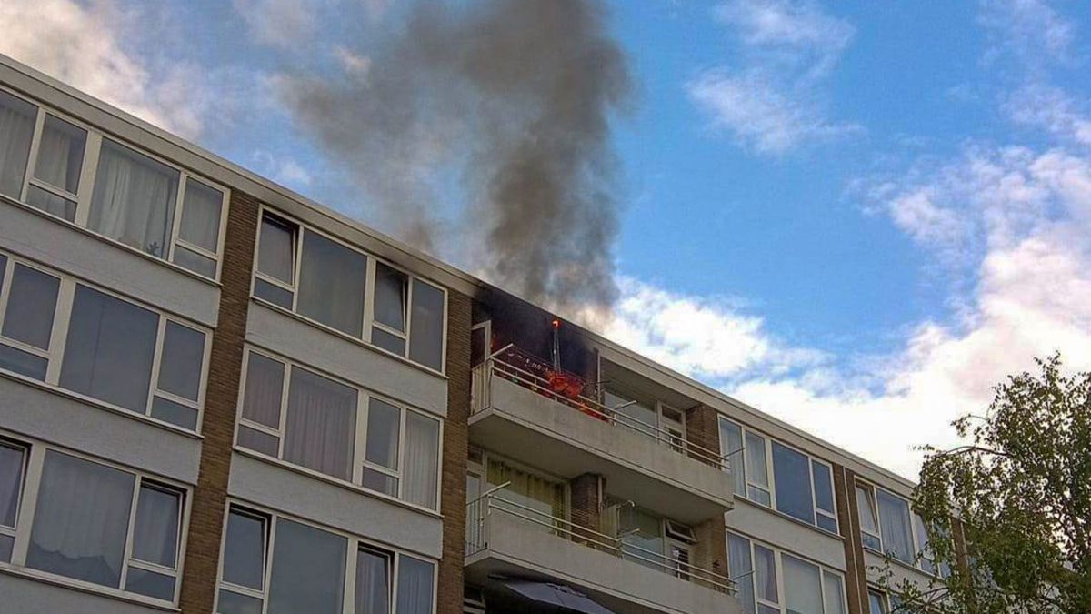 112-nieuws: 45-jarige man overleden na ongeval bedrijventerrein Vondelingenplaat | Reanimatie kat na