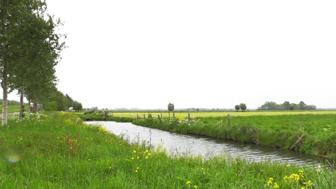 Polder Rijnenburg