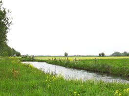 Eindelijk duidelijkheid over polder Rijnenburg? 'Minister gaat woningbouw afdwingen'