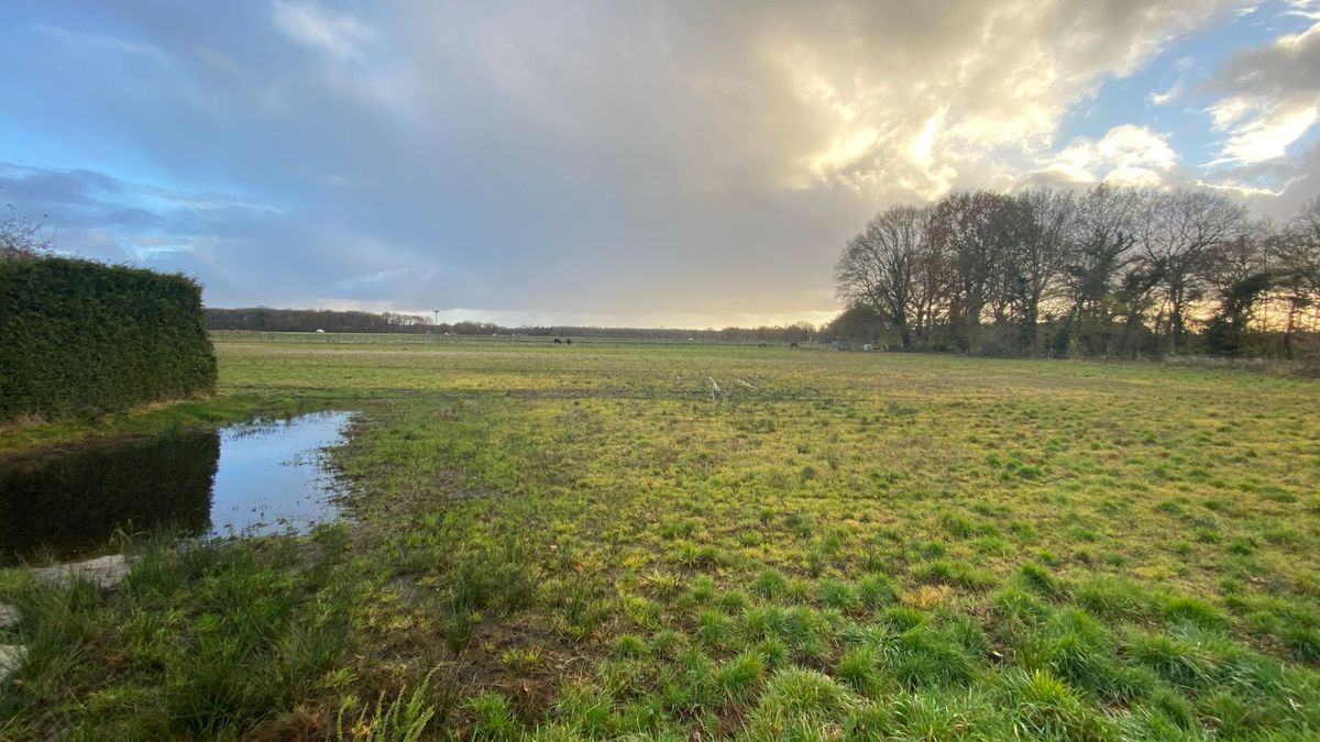Raad van State veegt nieuwbouwplannen Grolloo van tafel, dorpsbelangen bekijkt andere opties